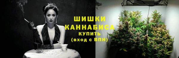 стаф Волосово