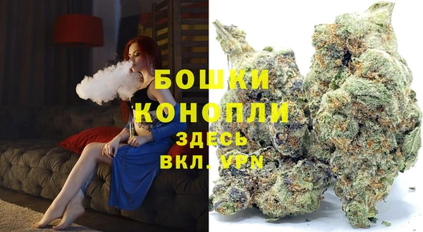 стаф Волосово