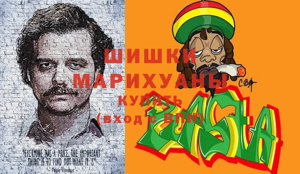 стаф Волосово