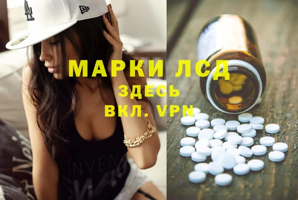 стаф Волосово