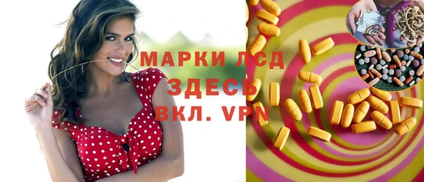 стаф Волосово