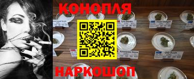 СК Абакан
