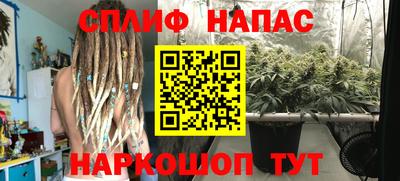 СК Абакан