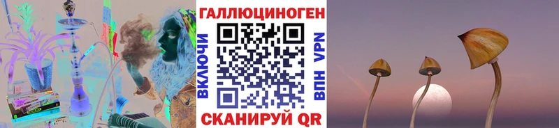 где купить наркоту  Белгород  Галлюциногенные грибы Psilocybine cubensis 