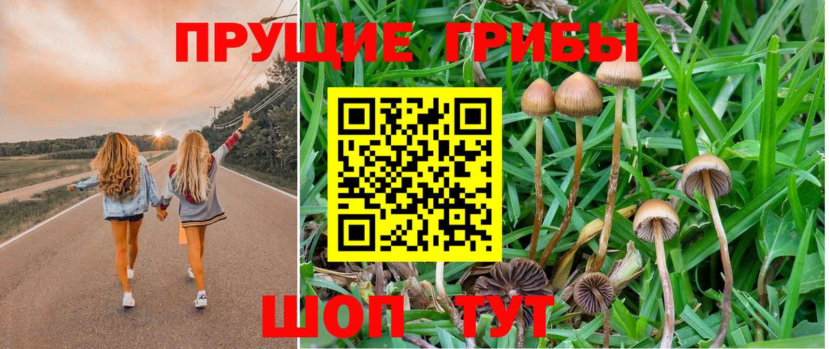 Белгород  Псилоцибиновые грибы мухоморы  Вход с VPN 