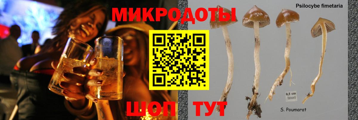Псилоцибиновые грибы GOLDEN TEACHER Белгород