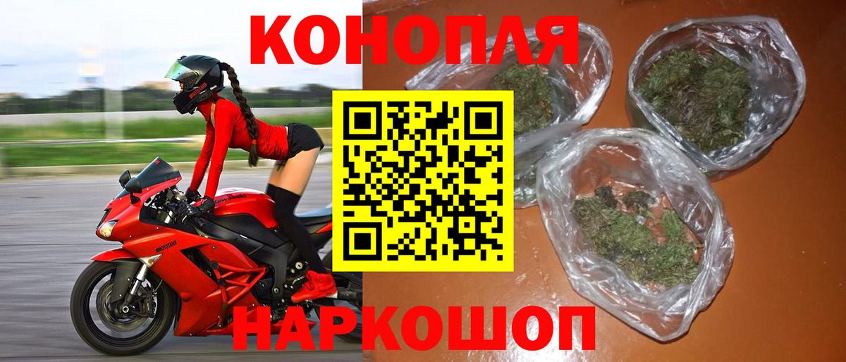 Бошки марихуана Amnesia  Конопля конопля  Вход с VPN  Шишки марихуана конопля  Белгород 